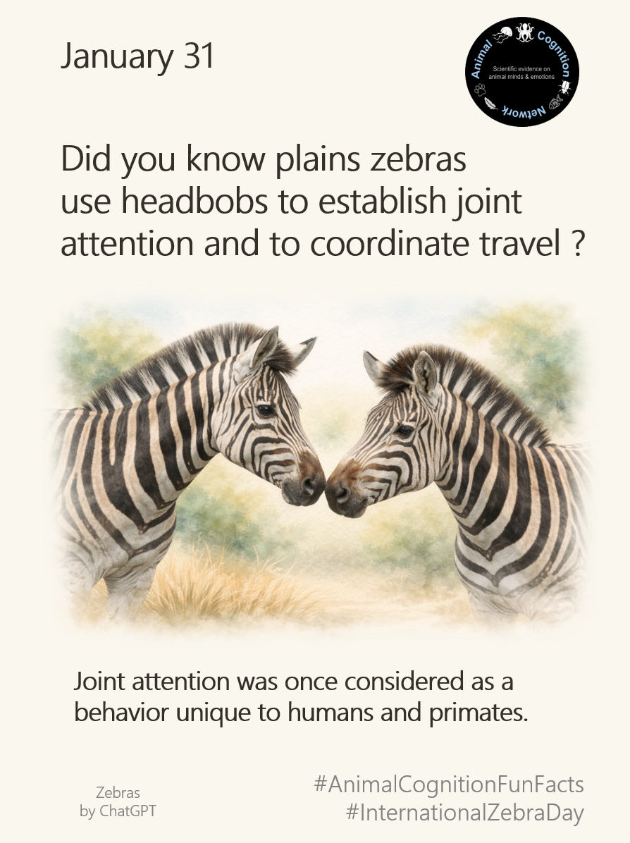 Animal Cognition Fun Facts