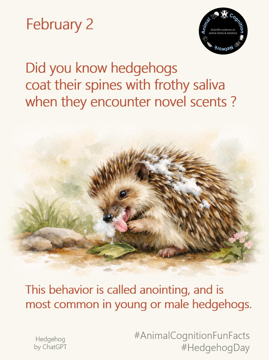 Animal Cognition Fun Facts