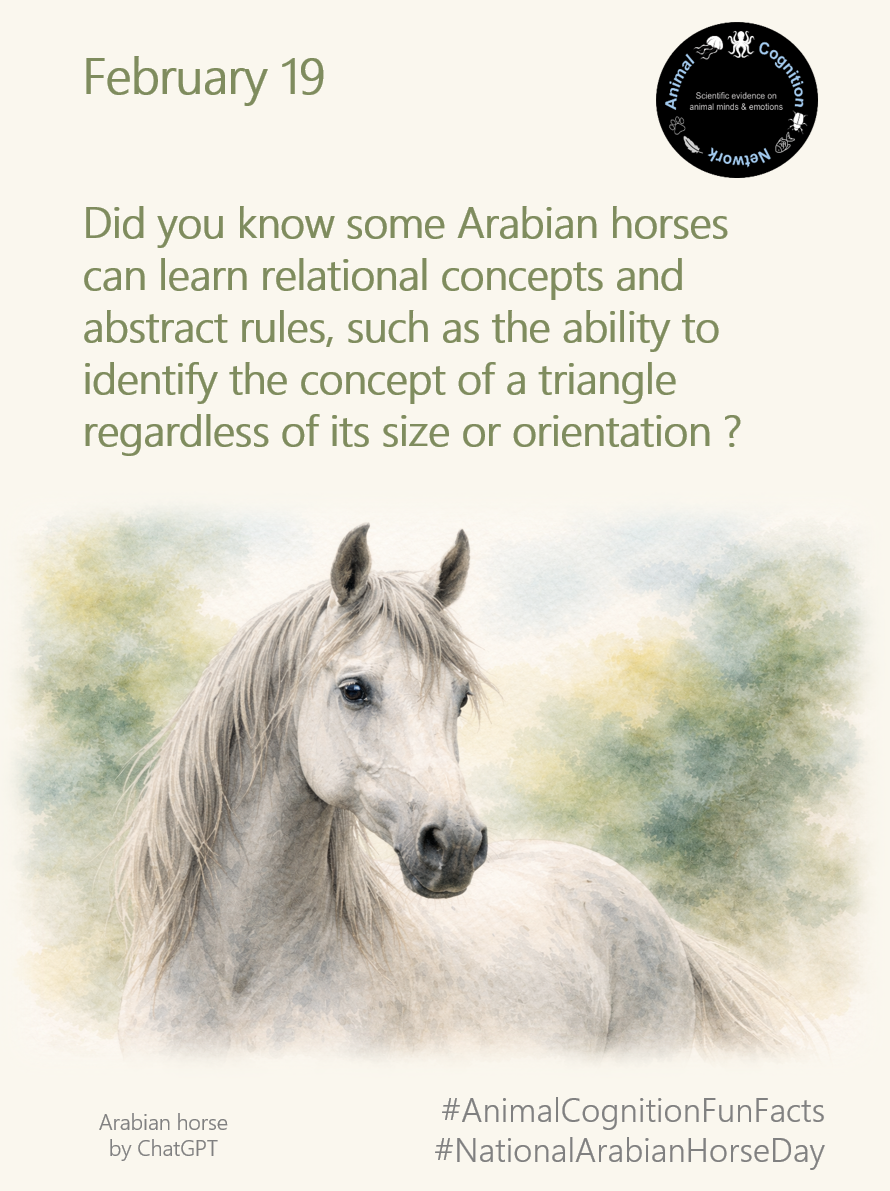 Animal Cognition Fun Facts