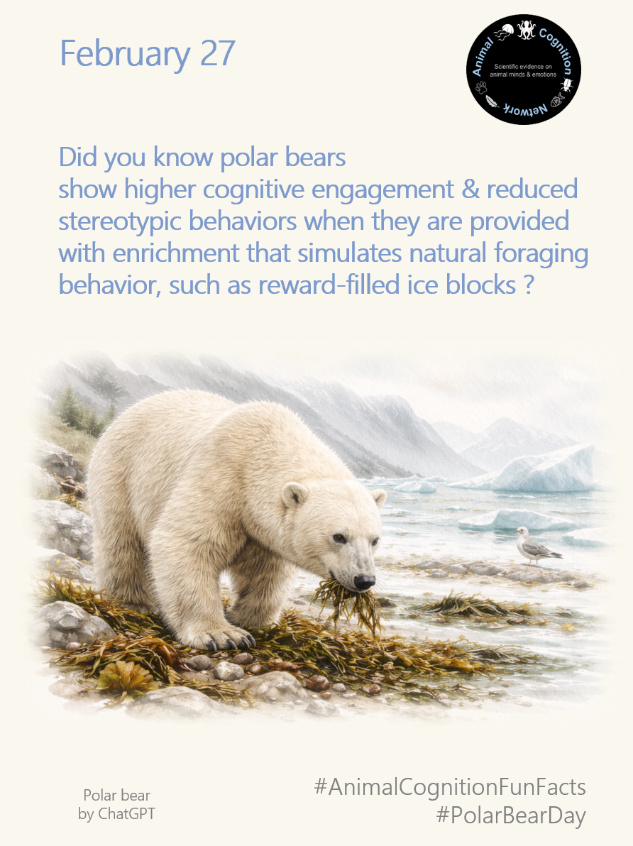 Animal Cognition Fun Facts