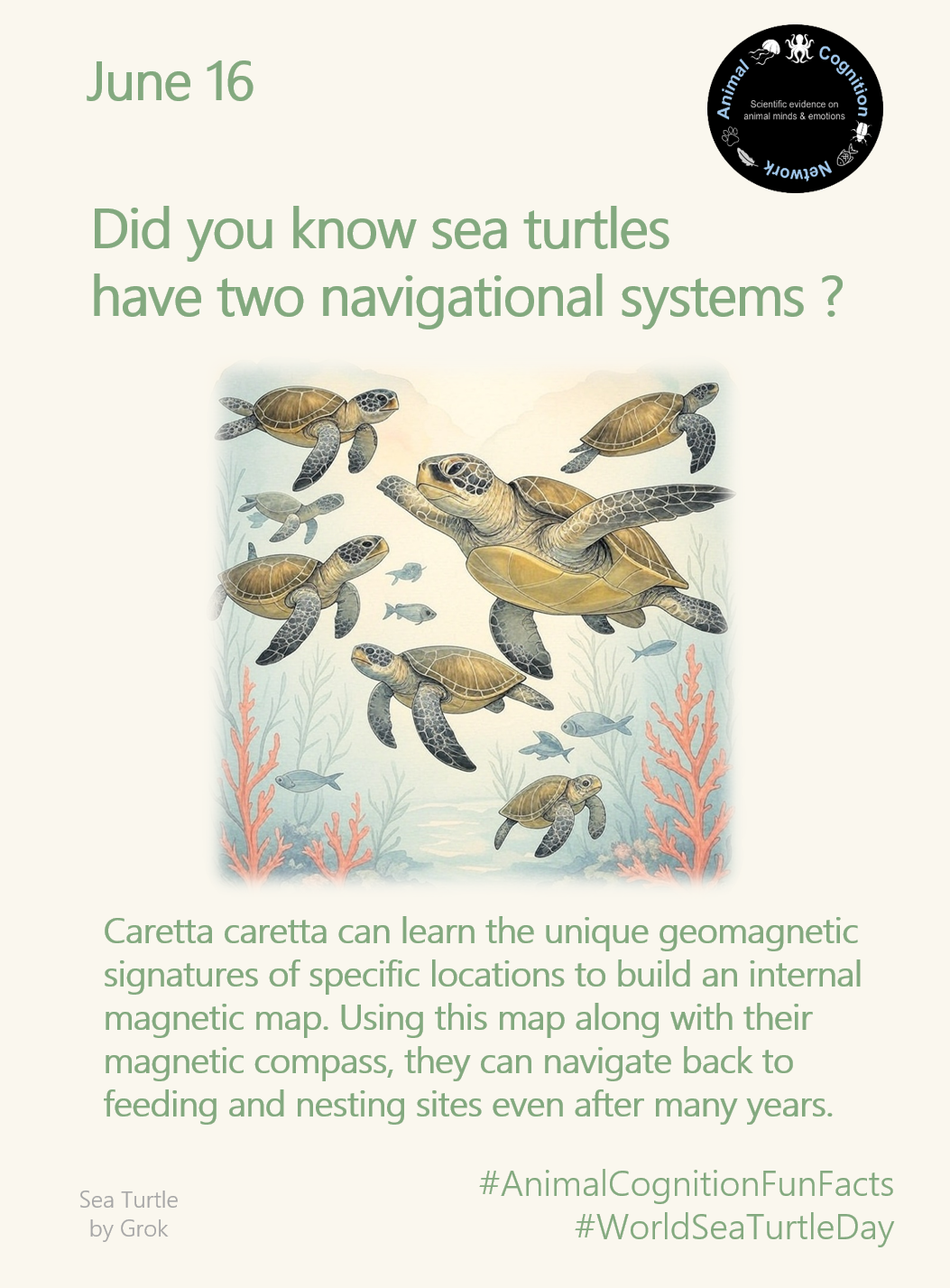 Animal Cognition Fun Facts